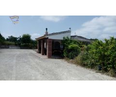 VENTA FINCA EN CARRETERA ALGAR