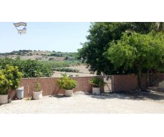 VENTA FINCA RUSTICA CON VIVIENDA EN ARCOS DE LA FRONTERA