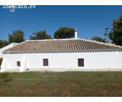 SE VENDE FINCA RUSTICA ZONA ROMERAL