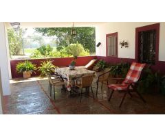 SE VENDE FINCA RUSTICA ZONA ROMERAL
