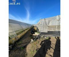 SE VENDE FINCA POR LA ZONA DEL DRAGO