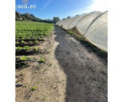 SE VENDE FINCA POR LA ZONA DEL DRAGO
