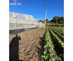 SE VENDE FINCA POR LA ZONA DEL DRAGO
