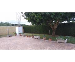 VENTA DE CHALET ZONA CTRA. ARCOS - EL BOSQUE