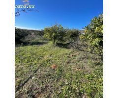 SE VENDE FINCA RÚSTICA POR LA CARRETERA ARCOS-ELBOSQUE