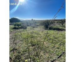 SE VENDE FINCA RÚSTICA POR LA CARRETERA ARCOS-ELBOSQUE