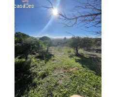 SE VENDE FINCA RÚSTICA POR LA CARRETERA ARCOS-ELBOSQUE