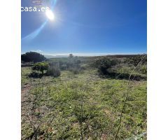 SE VENDE FINCA RÚSTICA POR LA CARRETERA ARCOS-ELBOSQUE
