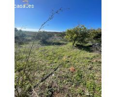 SE VENDE FINCA RÚSTICA POR LA CARRETERA ARCOS-ELBOSQUE