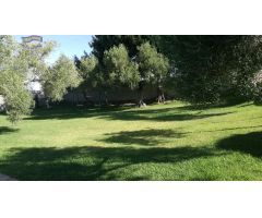 VENTA FINCA RÚSTICA CON ANTIGUO MOLINO DE ACEITE