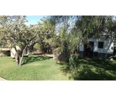VENTA FINCA RÚSTICA CON ANTIGUO MOLINO DE ACEITE