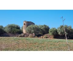 Casa de campo en Venta en Llucmajor, Islas Baleares