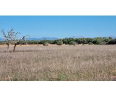 Casa de campo en Venta en Llucmajor, Islas Baleares