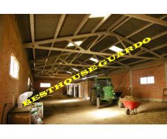 VENTA NAVE INDUSTRIAL, Y FINCAS EN SAN PEDRO DE CANSOLES