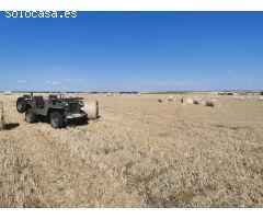 Finca rustica en Venta en Cantalapiedra, Salamanca