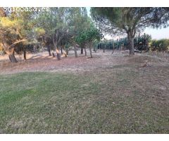 Casa de campo en Venta en Doñinos de Salamanca, Salamanca