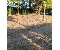 Casa de campo en Venta en Doñinos de Salamanca, Salamanca
