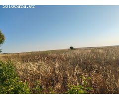 Casa de campo en Venta en Doñinos de Salamanca, Salamanca
