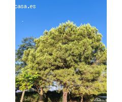 Casa de campo en Venta en Doñinos de Salamanca, Salamanca