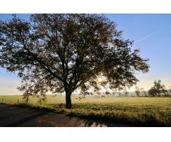Parcela en Venta en Los Guijuelos, Salamanca