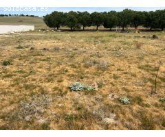 Parcela en Venta en Doñinos de Salamanca, Salamanca