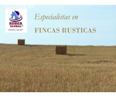 Finca rustica en Venta en Puebla de Azaba, Salamanca