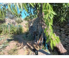 Solar urbano en Venta en Ledesma de la Cogolla, Salamanca