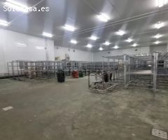 Nave en Venta en Los Guijuelos, Salamanca
