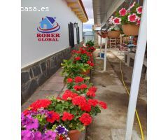Chalet en Venta en Calvarrasa de Abajo, Salamanca