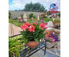 Chalet en Venta en Calvarrasa de Abajo, Salamanca