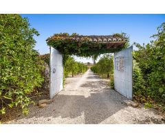 Espectacular Casa de campo, con 27000 metros de terreno en la zona de Zalea en Pizarra.