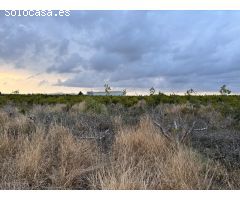 Parcela en Venta en Alginet, Valencia