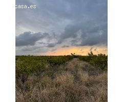 Parcela en Venta en Alginet, Valencia