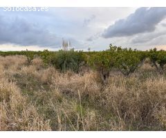 Parcela en Venta en Alginet, Valencia