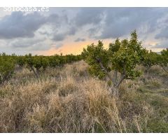 Parcela en Venta en Alginet, Valencia