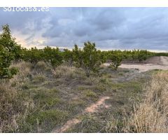 Parcela en Venta en Alginet, Valencia