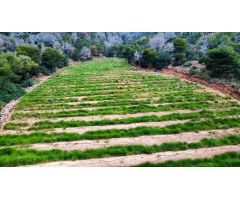 Parcela en Venta en Sagunto/Sagunt, Valencia
