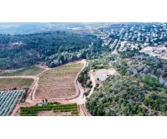 Parcela en Venta en Sagunto/Sagunt, Valencia
