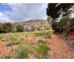 Parcela en Venta en Sagunto/Sagunt, Valencia