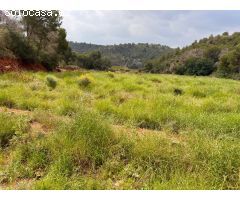 Parcela en Venta en Sagunto/Sagunt, Valencia