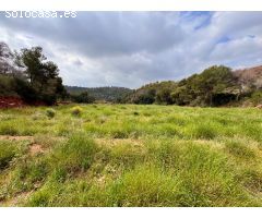 Parcela en Venta en Sagunto/Sagunt, Valencia