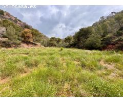 Parcela en Venta en Sagunto/Sagunt, Valencia