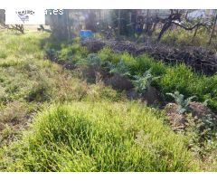 VENTA DE TERRENO DE HUERTA EN ONTINYENT!!!