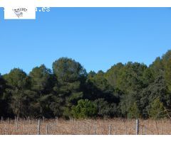 GRAN PARCELA URBANIZABLE EN PLENA NATURALEZA DE LA URB. HELIOS!!!