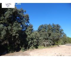 GRAN PARCELA URBANIZABLE EN PLENA NATURALEZA DE LA URB. HELIOS!!!