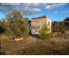 TERRENO ONTINYENT