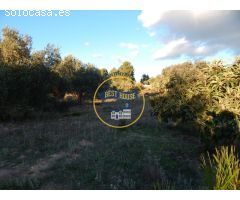 TERRENO ONTINYENT