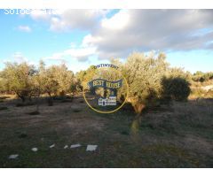 TERRENO ONTINYENT