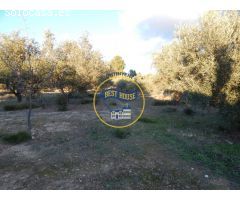 TERRENO ONTINYENT