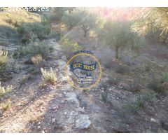 TERRENO ONTINYENT